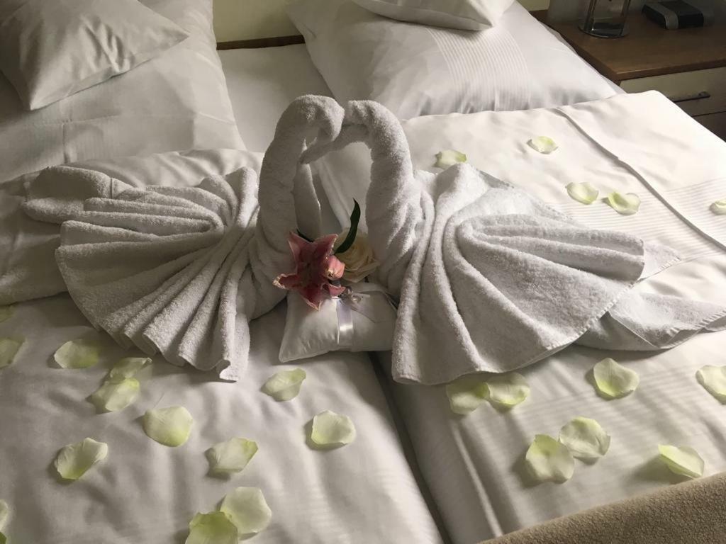 Hotel Am Hof Taufkirchen  Dış mekan fotoğraf